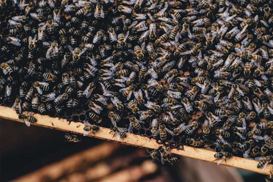 Die Idee zu einem digitalen Werkzeug